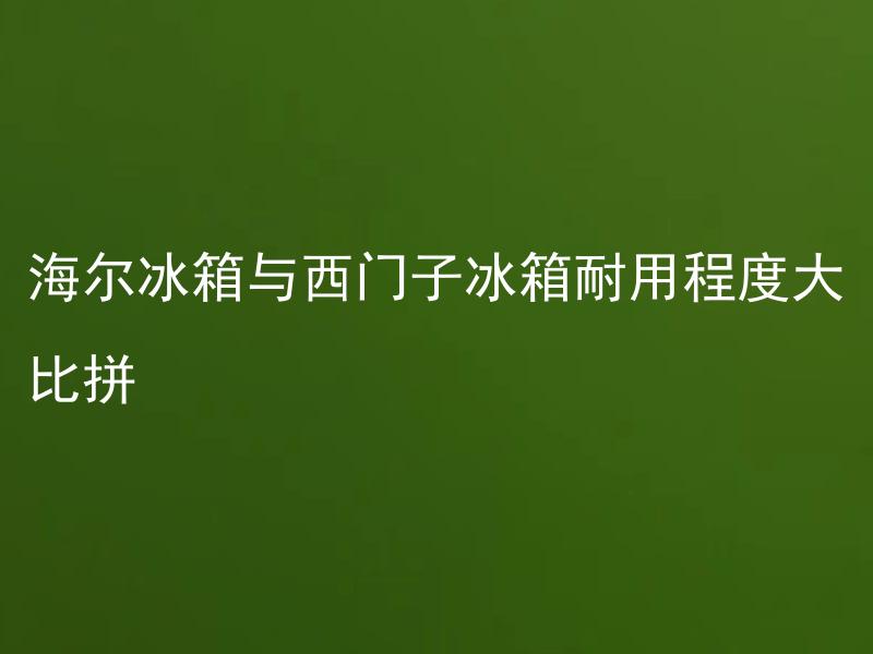 海尔冰箱与西门子冰箱耐用程度大比拼 海尔冰箱与西门子冰箱哪个更耐用？