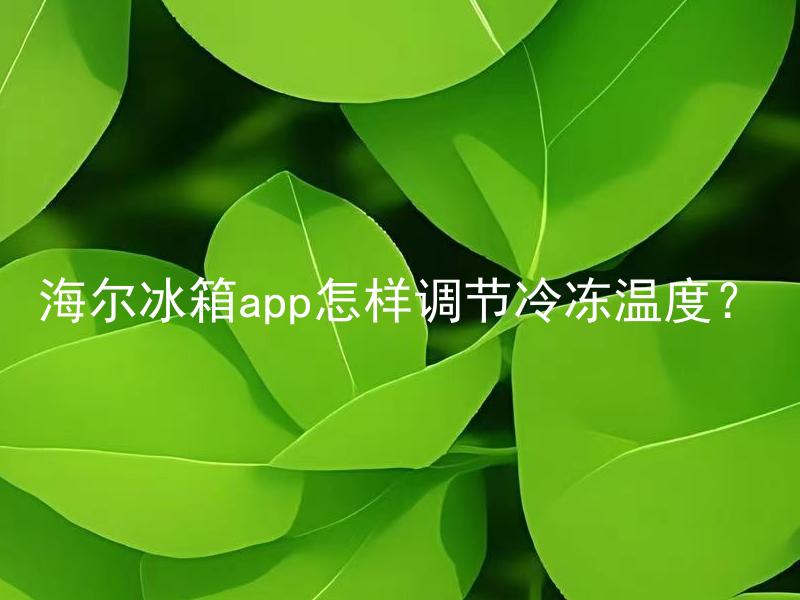 海尔冰箱app怎样调节冷冻温度？ 海尔冰箱app能够准确调节冷冻温度吗？
