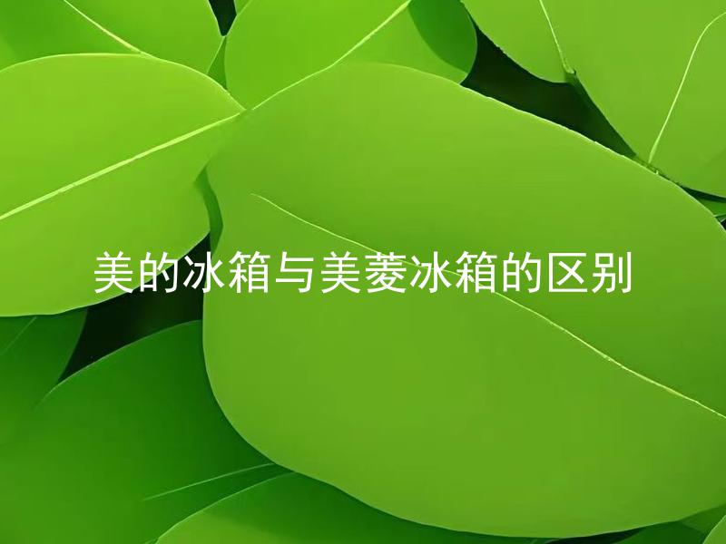 美的冰箱与美菱冰箱的区别 美的冰箱和美菱冰箱哪个更耐用？