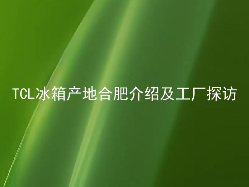 TCL冰箱产地合肥介绍及工厂探访 TCL冰箱工厂参观有哪些注意事项？
