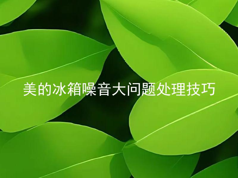 美的冰箱噪音大问题处理技巧 美的冰箱噪音大怎么办？