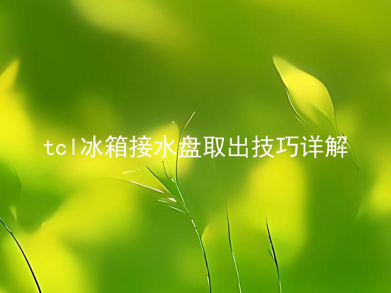 tcl冰箱接水盘取出技巧详解 tcl冰箱接水盘该如何清洁和维护？