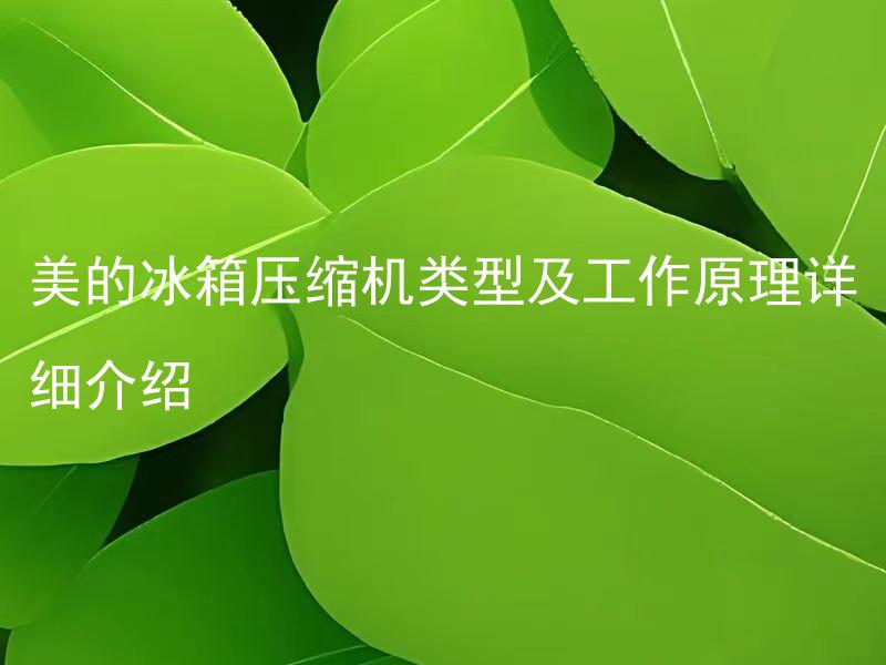 美的冰箱压缩机类型及工作原理详细介绍 不需要拓展标题，原标题已经完整有意义。