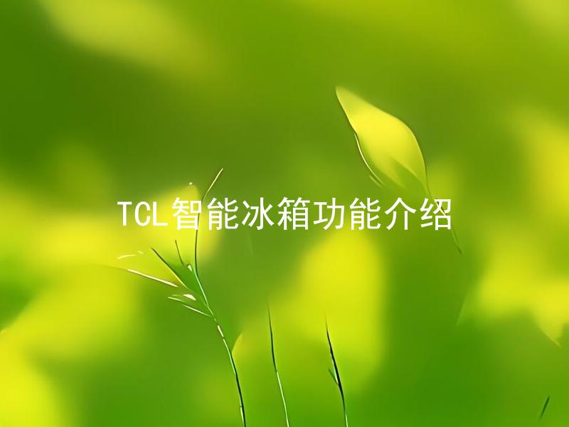 TCL智能冰箱功能介绍 TCL智能冰箱有哪些智能功能？