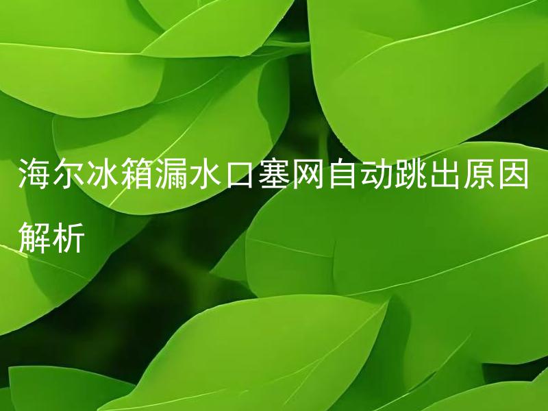 海尔冰箱漏水口塞网自动跳出原因解析 海尔冰箱漏水口塞网自动跳出如何解决？
