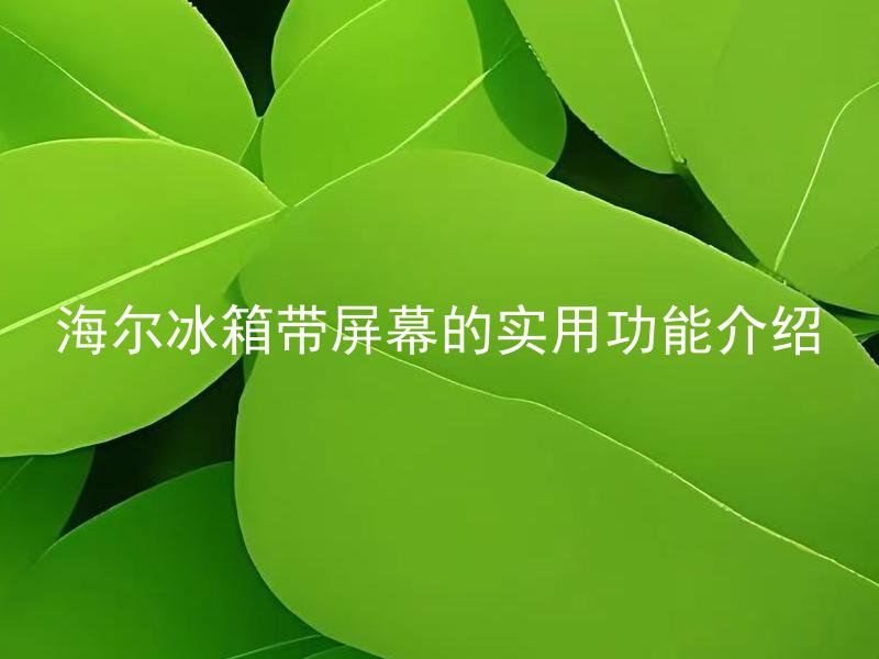 海尔冰箱带屏幕的实用功能介绍 海尔冰箱带屏幕的实用功能有哪些？