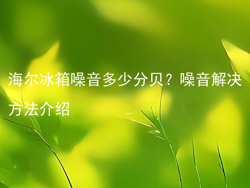 海尔冰箱噪音多少分贝？噪音解决方法介绍 海尔冰箱噪音过大怎么办？噪音解决方法介绍。
