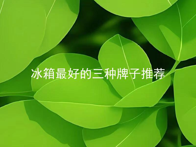 冰箱最好的三种牌子推荐 冰箱最好的三种牌子推荐，这三种牌子的价格如何？