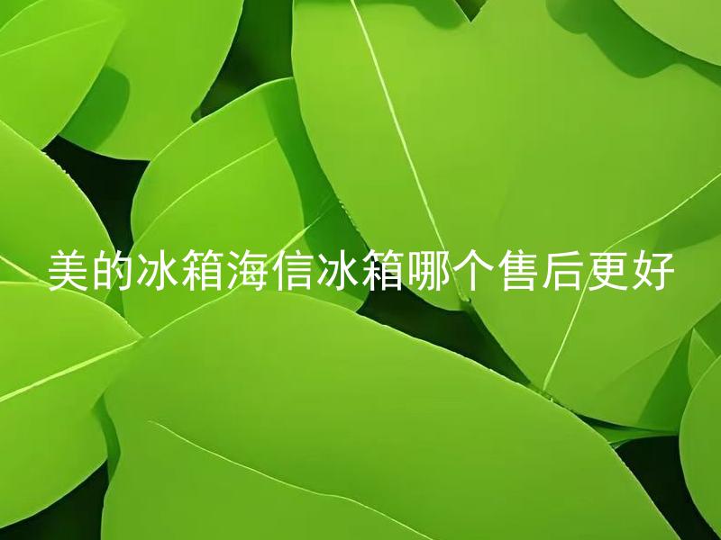 美的冰箱海信冰箱哪个售后更好 美的冰箱和海信冰箱售后服务有何区别？
