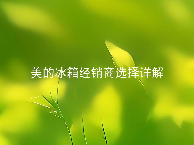 美的冰箱经销商选择详解 如何选择合适的美的冰箱经销商，有哪些选购注意事项？