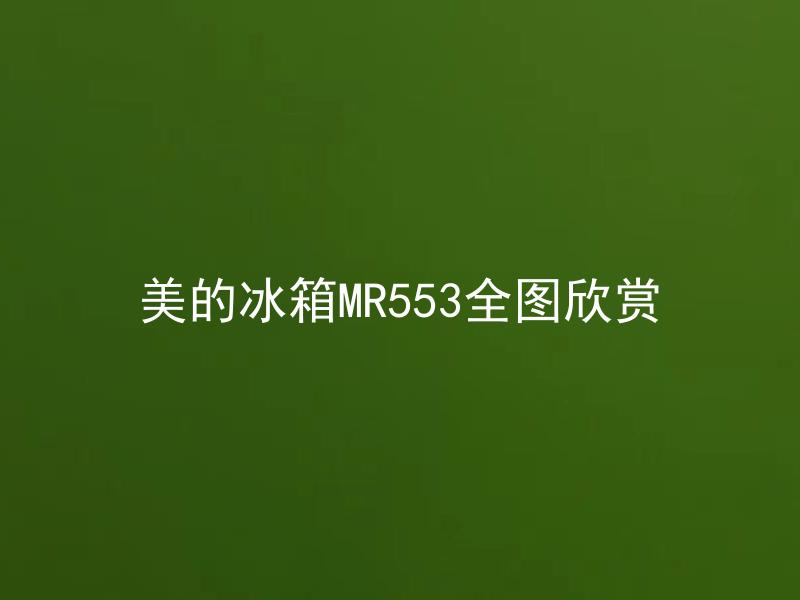 美的冰箱MR553全图欣赏 美的冰箱MR553有哪些实用的功能？