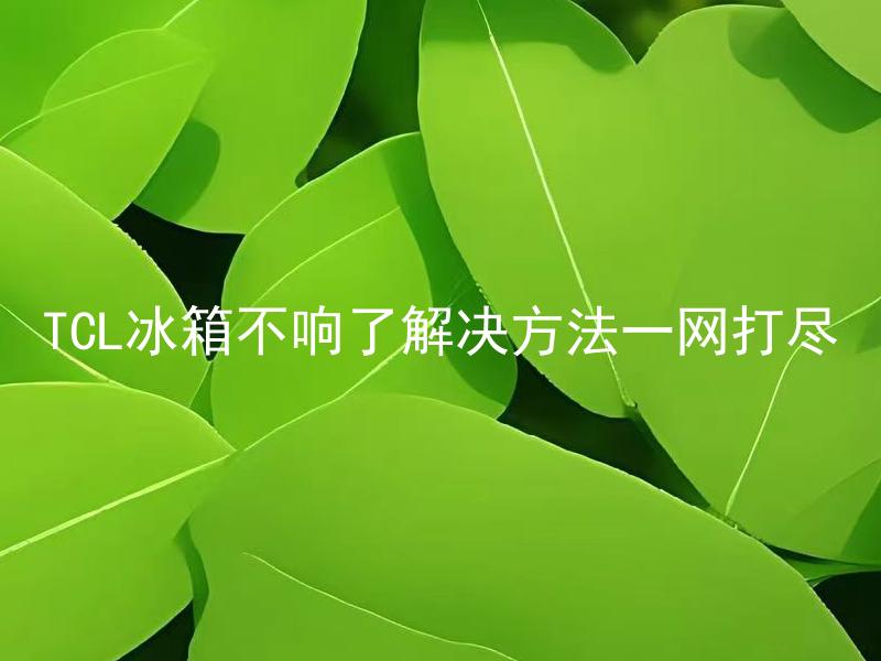 TCL冰箱不响了解决方法一网打尽 TCL冰箱为什么突然不响了？该怎么解决？