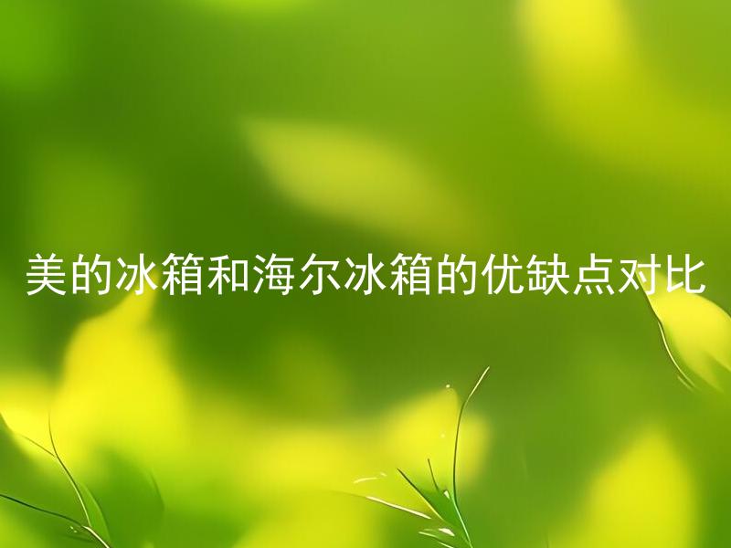 美的冰箱和海尔冰箱的优缺点对比 如何选择适合自己的冰箱品牌？