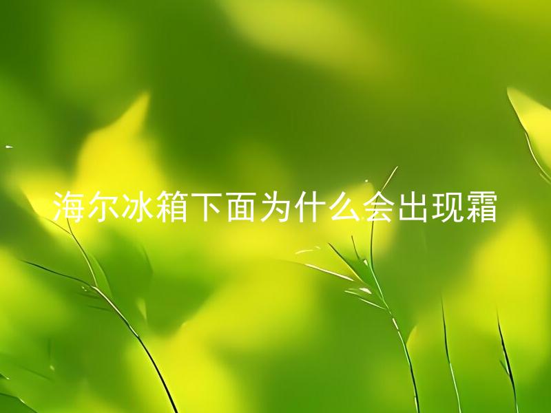 海尔冰箱下面为什么会出现霜 海尔冰箱下面的霜是怎么形成的？