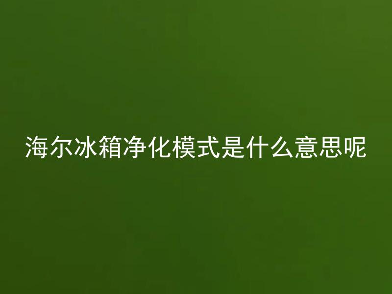 海尔冰箱净化模式是什么意思呢 海尔冰箱净化模式如何使用及其作用是什么？