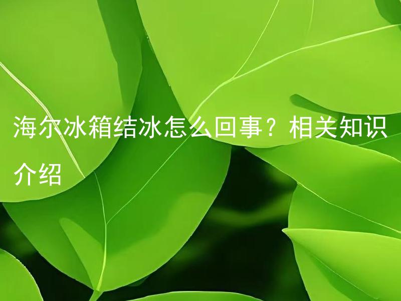 海尔冰箱结冰怎么回事？相关知识介绍 海尔冰箱为什么会出现结冰现象？如何避免和解决？相关知识介绍