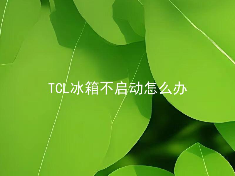 TCL冰箱不启动怎么办 TCL冰箱不启动可能的原因有哪些？