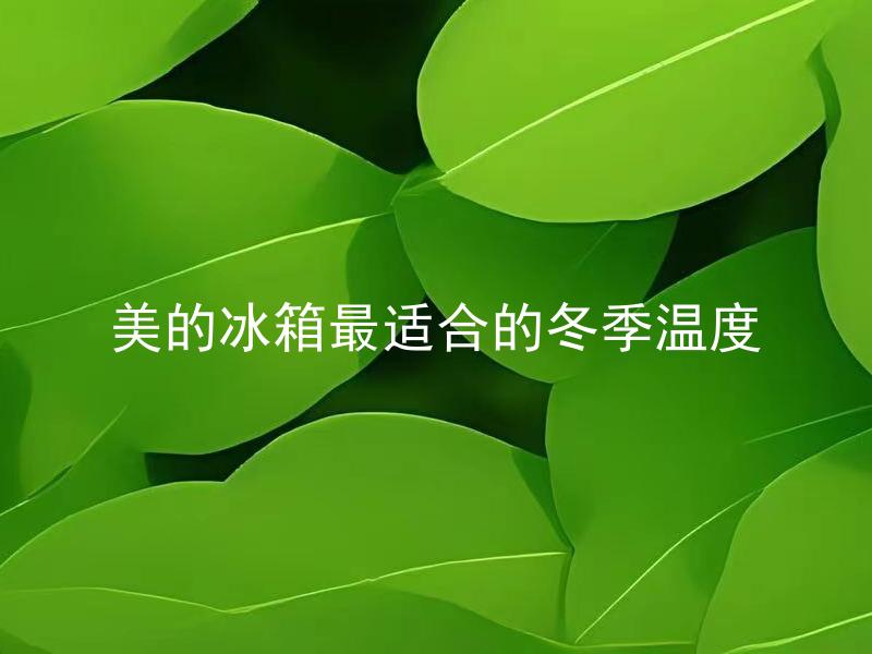 美的冰箱最适合的冬季温度 美的冰箱最适合的冬季温度是多少？