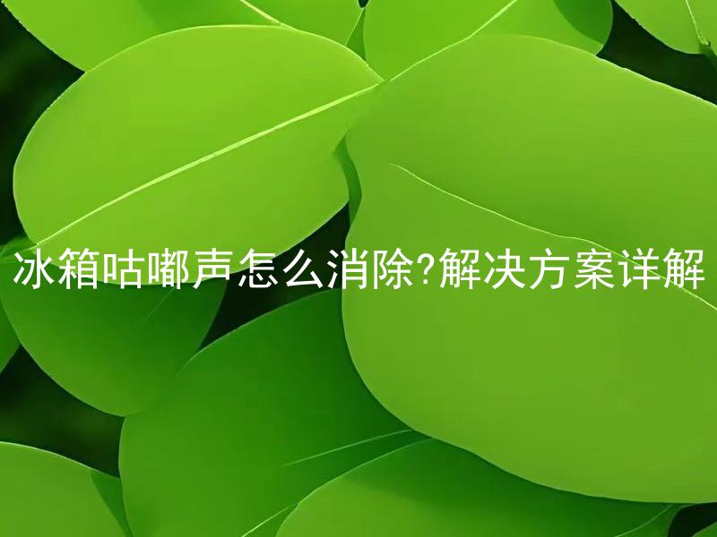 冰箱咕嘟声怎么消除?解决方案详解 冰箱咕嘟声小了之后会出现什么问题？