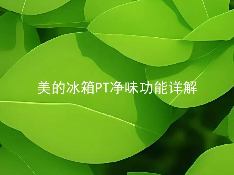 美的冰箱PT净味功能详解 美的冰箱PT净味功能怎样去除异味？