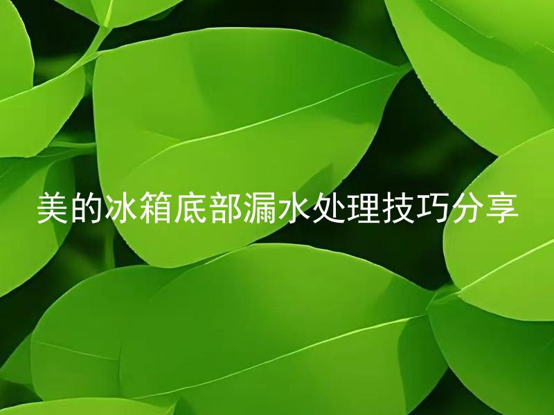 美的冰箱底部漏水处理技巧分享 美的冰箱底部漏水的原因有哪些？