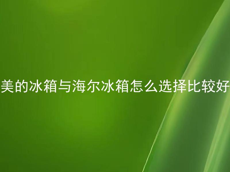 美的冰箱与海尔冰箱怎么选择比较好 怎样根据个人需求选择适合自己的美的冰箱或海尔冰箱？