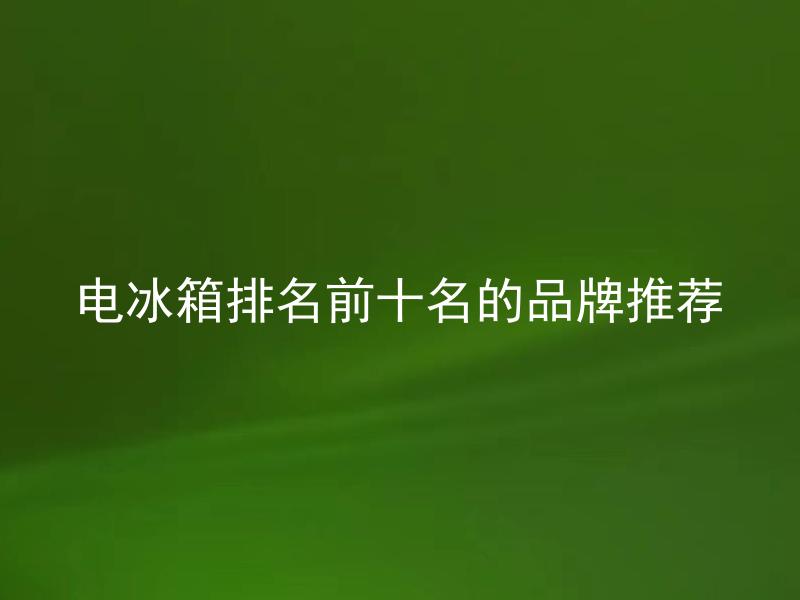 电冰箱排名前十名的品牌推荐 电冰箱排名的依据是什么？