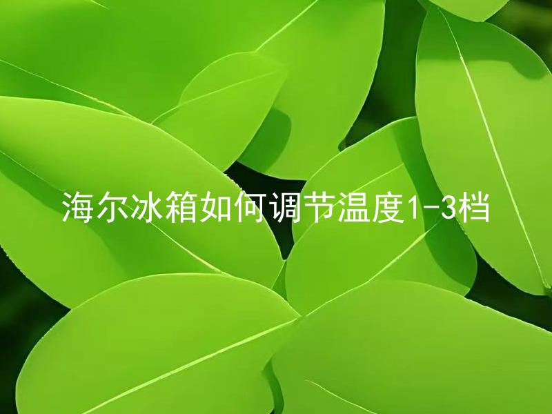 海尔冰箱如何调节温度1-3档 海尔冰箱温度1-3档分别适合存放哪些食品？