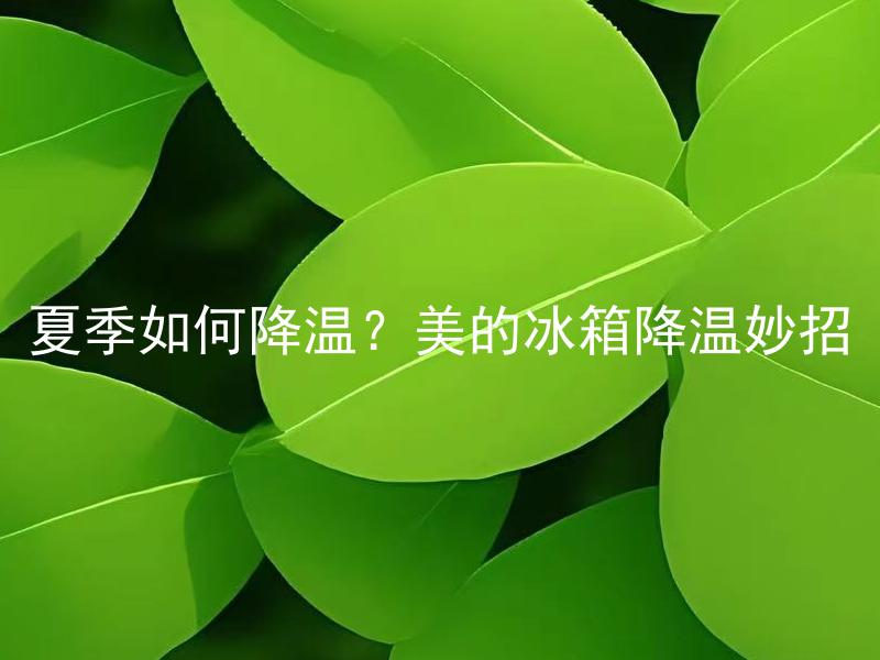 夏季如何降温？美的冰箱降温妙招 美的冰箱有哪些实用的降温技巧可以应用在夏季？