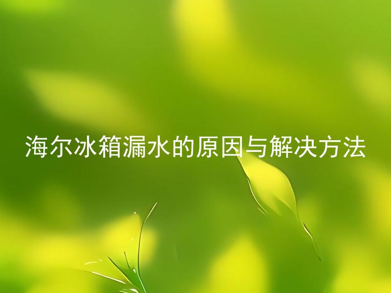 海尔冰箱漏水的原因与解决方法 海尔冰箱漏水如何分辨出漏水原因？