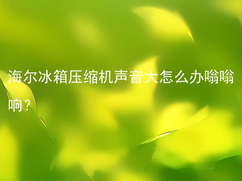 海尔冰箱压缩机声音大怎么办嗡嗡响？ 海尔冰箱压缩机声音大是否属于正常情况？
