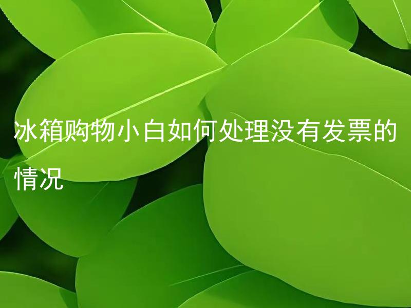 冰箱购物小白如何处理没有发票的情况 如果冰箱没有发票怎么办？