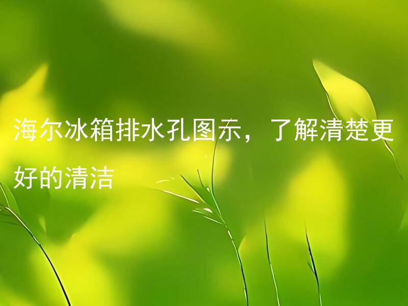 海尔冰箱排水孔图示，了解清楚更好的清洁 如何正确清理海尔冰箱的排水孔？