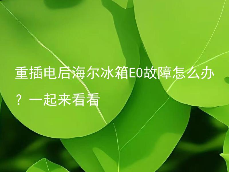 重插电后海尔冰箱E0故障怎么办？一起来看看 重插电后海尔冰箱E0故障如何解决？