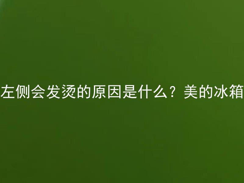 左侧会发烫的原因是什么？美的冰箱 美的冰箱左侧发烫的原因可能是什么？