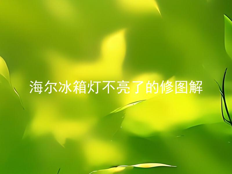 海尔冰箱灯不亮了的修图解 海尔冰箱灯不亮了怎么办？