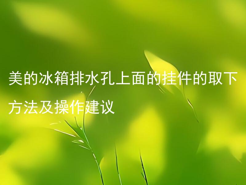 美的冰箱排水孔上面的挂件的取下方法及操作建议 为什么美的冰箱排水孔上方要配备挂件？