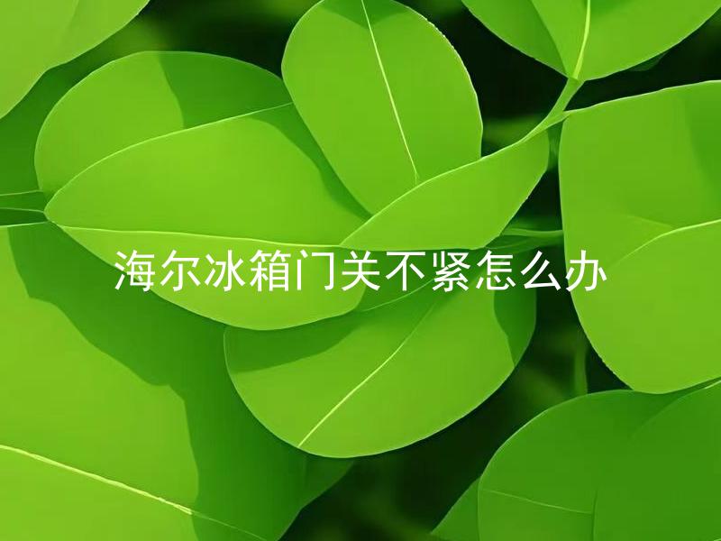 海尔冰箱门关不紧怎么办 海尔冰箱门紧闭的原因有哪些，如何解决门关不紧的问题？