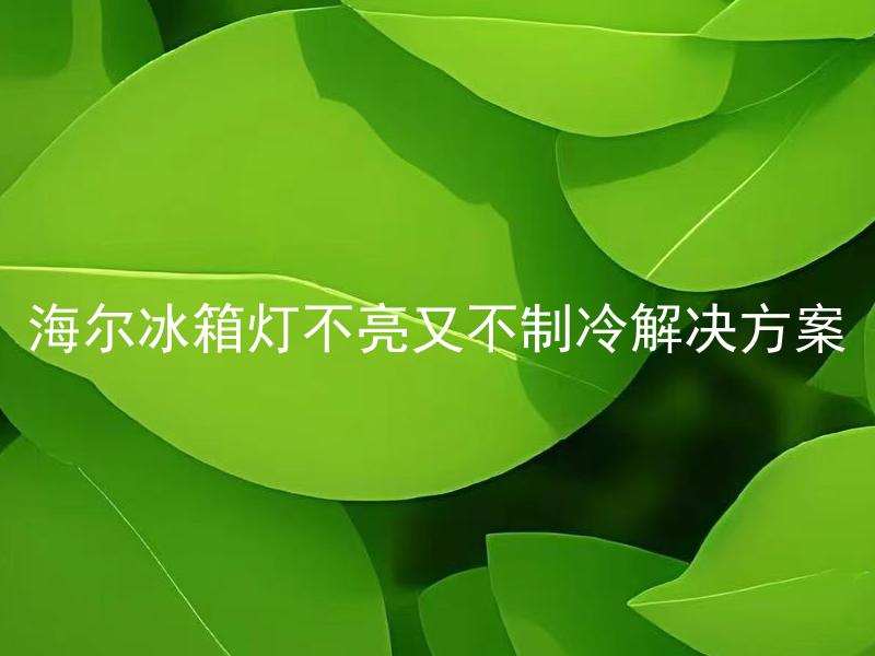 海尔冰箱灯不亮又不制冷解决方案 海尔冰箱为什么灯不亮又不制冷？如何解决问题？
