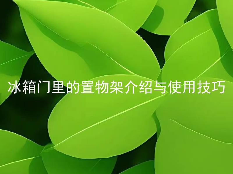 冰箱门里的置物架介绍与使用技巧 置物架如何安装在冰箱门里？