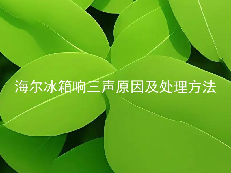 海尔冰箱响三声原因及处理方法 海尔冰箱响三声是否会导致食物变质或损坏？
