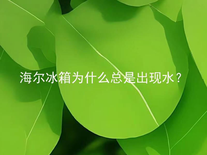 海尔冰箱为什么总是出现水？ 海尔冰箱出现水是哪些常见问题导致的？