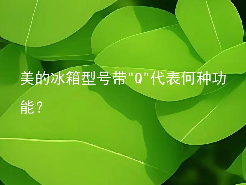 美的冰箱型号带"Q"代表何种功能？ 美的冰箱型号带"Q"代表何种高级功能？