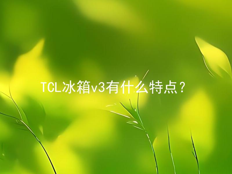 TCL冰箱v3有什么特点？ TCL冰箱v3的节能性如何？