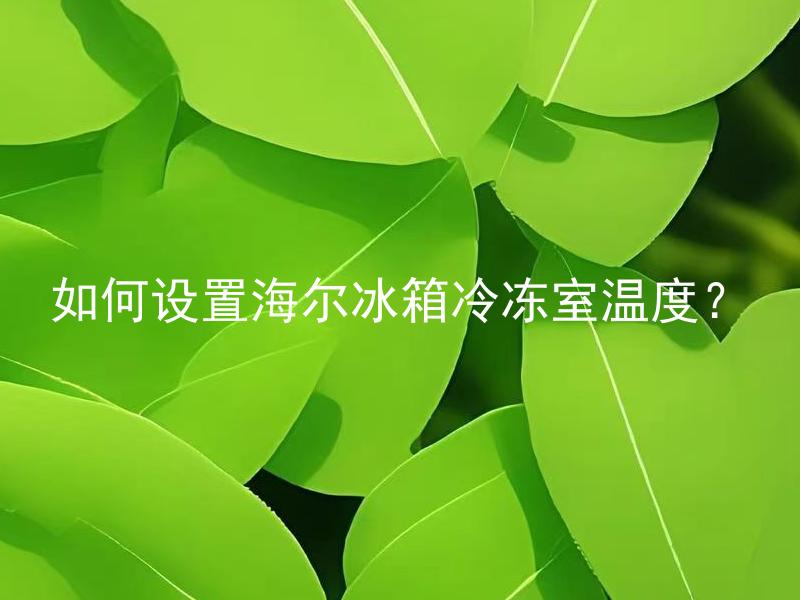 如何设置海尔冰箱冷冻室温度？ 海尔冰箱冷冻室温度设置后要注意哪些问题？