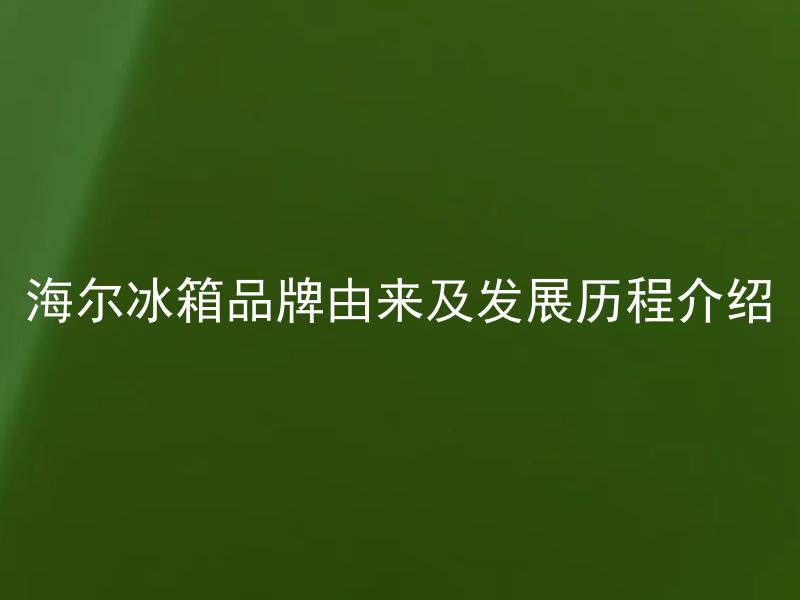 海尔冰箱品牌由来及发展历程介绍 海尔冰箱品牌为何备受消费者追捧？
