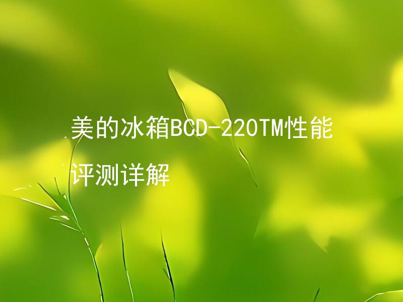 美的冰箱BCD-220TM性能评测详解