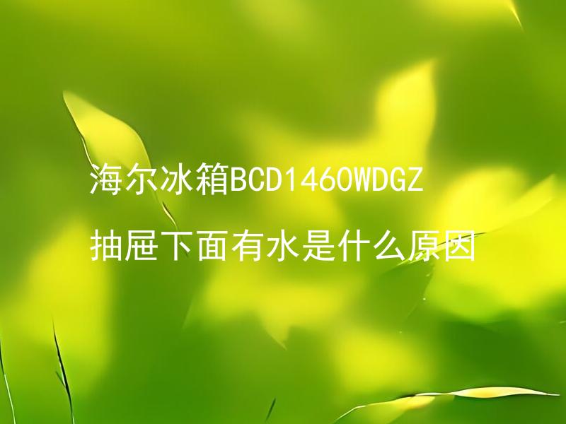 海尔冰箱BCD1460WDGZ抽屉下面有水是什么原因