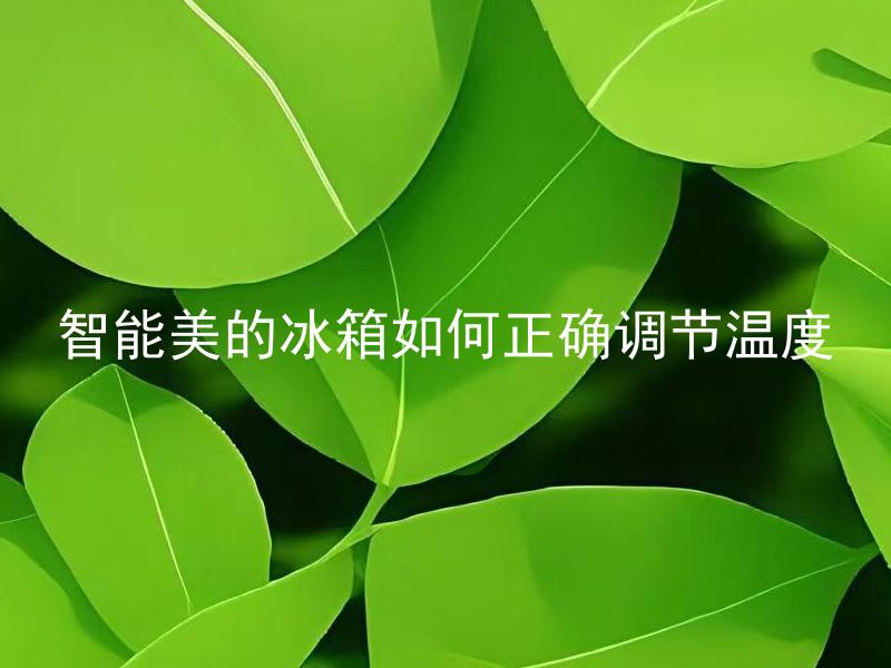 智能美的冰箱如何正确调节温度 美的智能冰箱温度怎么调才最合适？