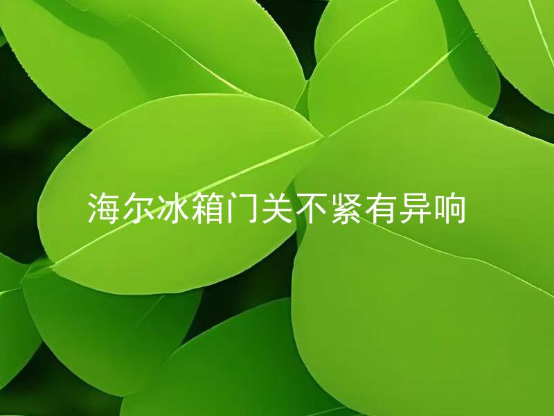 海尔冰箱门关不紧有异响 海尔冰箱门关不紧有异响怎么办？